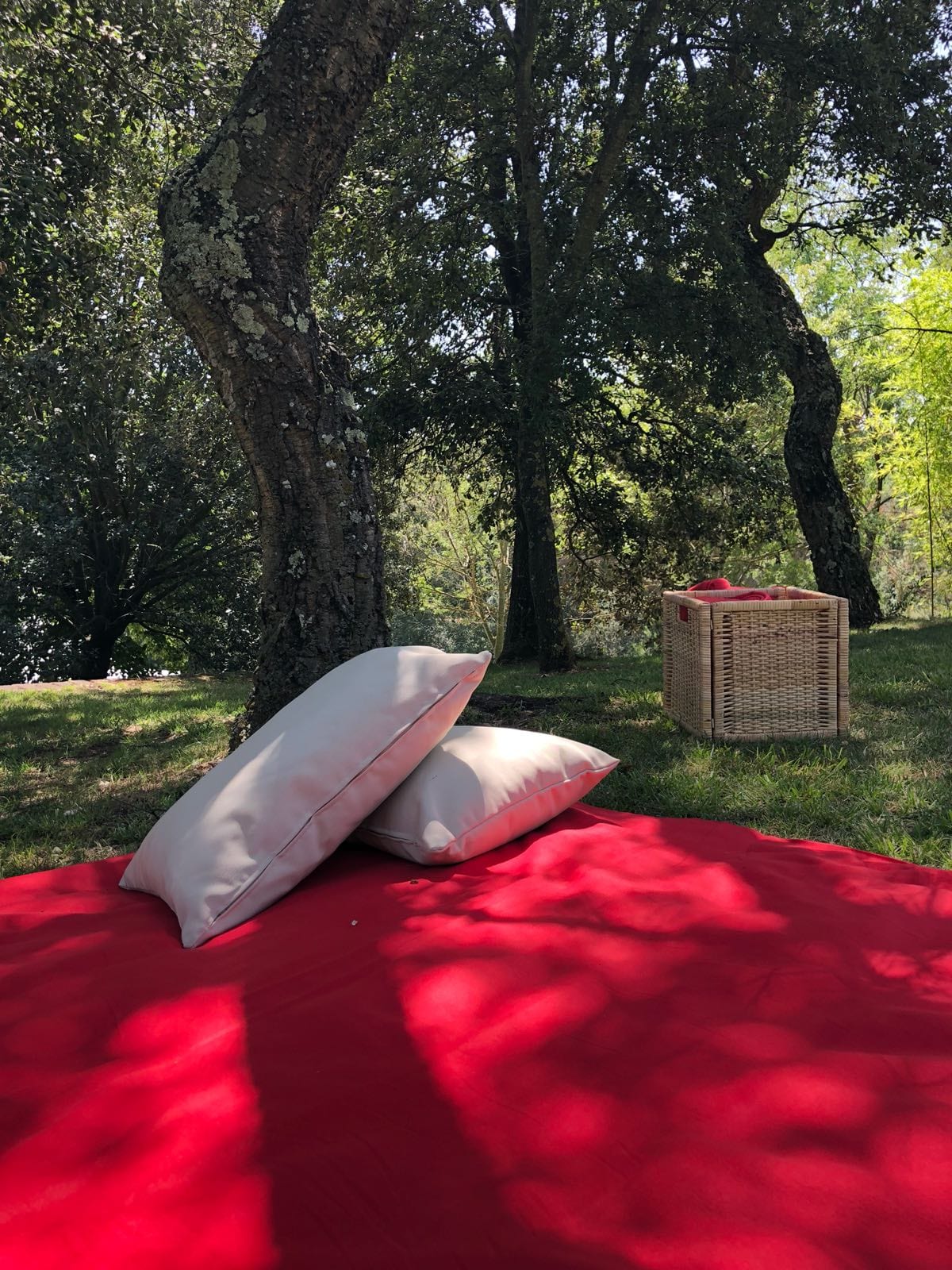 Escena de la vetllada Louis Vuitton Summer Party — producció Bacus Events